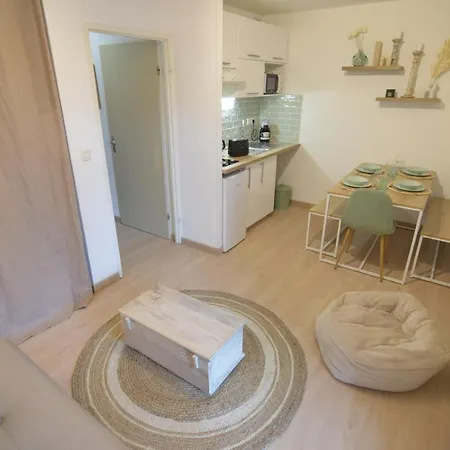 Le Boheme T2-wifi-calme-parking * Лурд